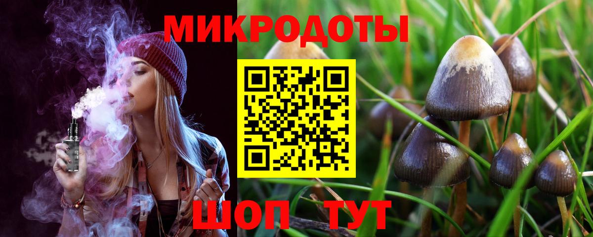 Галлюциногенные грибы GOLDEN TEACHER  Вход с VPN  Псилоцибиновые грибы Cubensis  Михайловск 