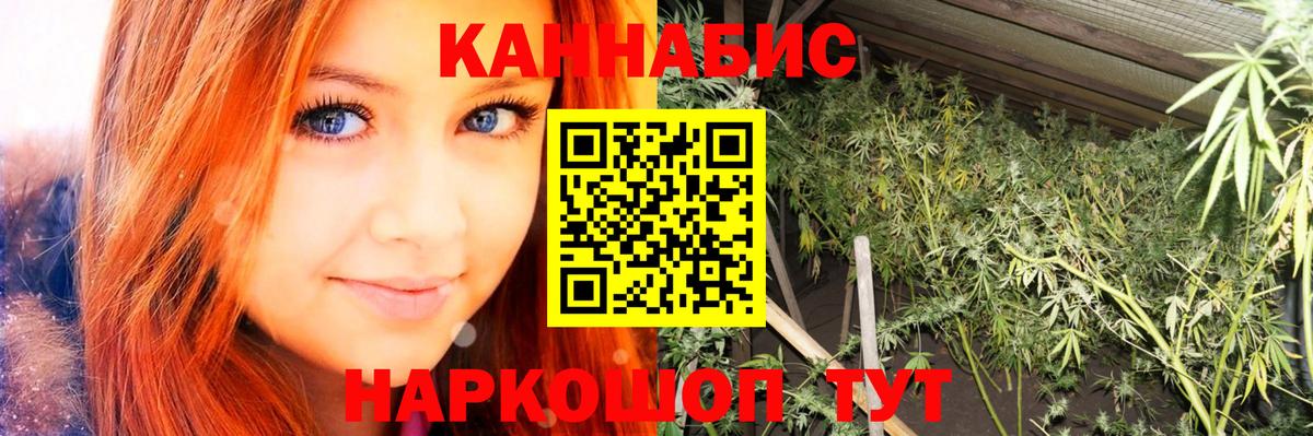 Михайловск  Конопля план  Вход с VPN  Марихуана конопля 
